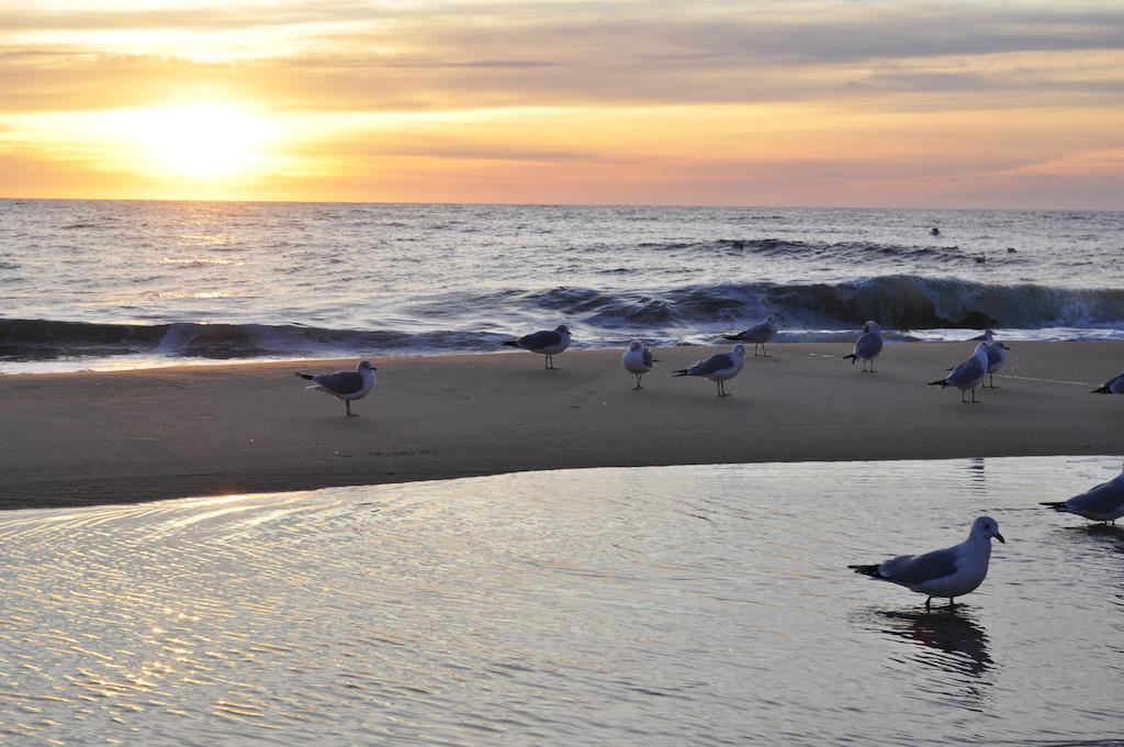 Crystal Beach Hotel Ocean City Luaran gambar